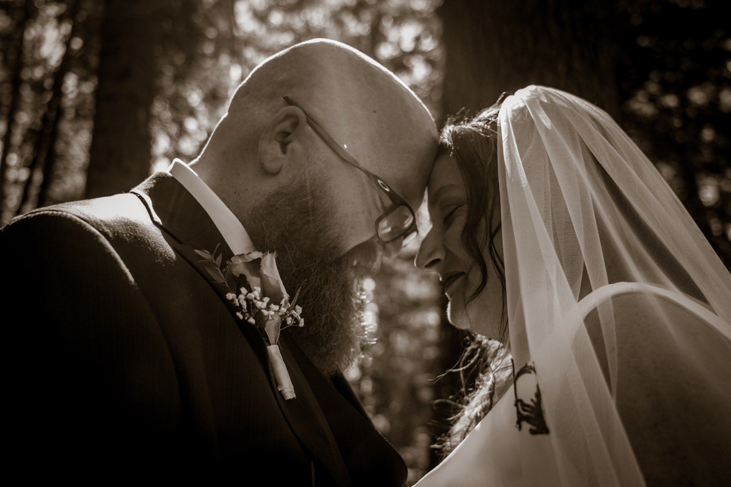 A sepia portrait of the same couple with their foreheads touching, her veil and his boutonniere in the trees